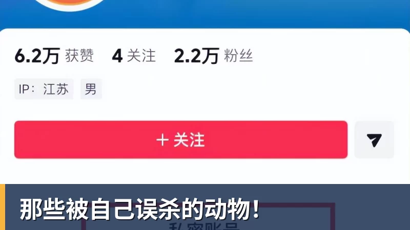 那些被自己误杀的动物！
