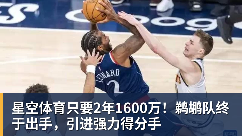 星空体育只要2年1600万!鹈鹕队终于出手,引进强力得分手